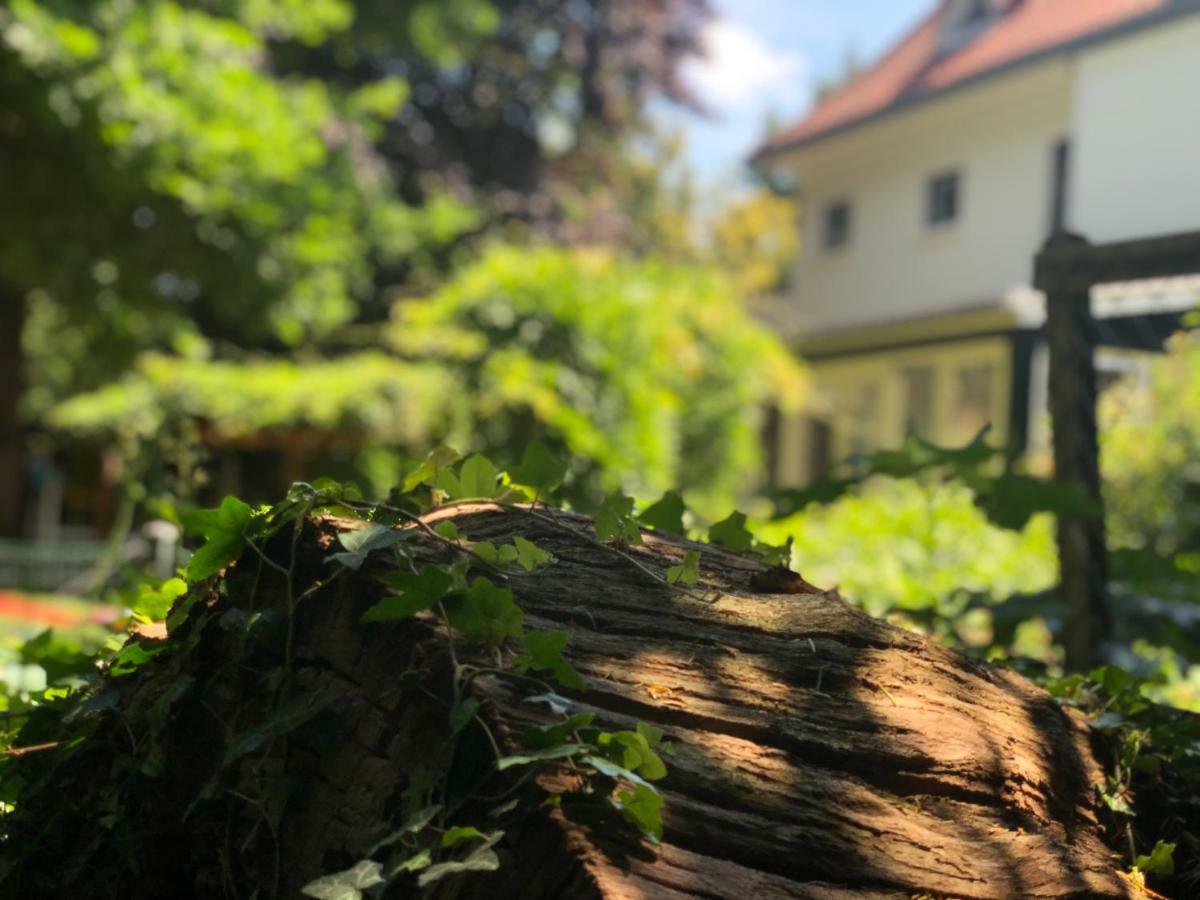 Guesthouse Villa De Eikhof Hengelo Kültér fotó